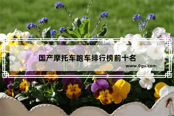 国产摩托车跑车排行榜前十名