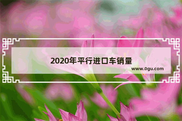 2020年平行进口车销量