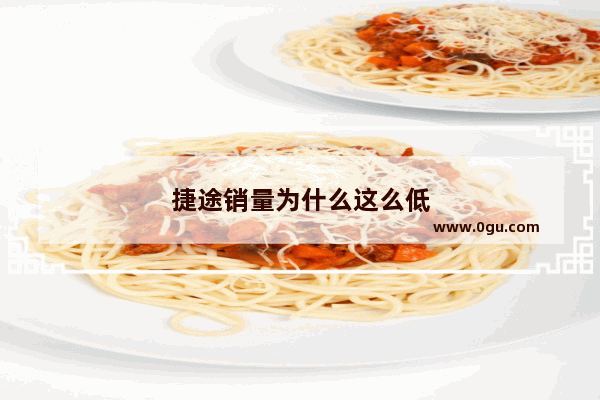 捷途销量为什么这么低