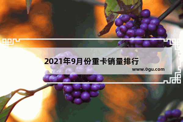 2021年9月份重卡销量排行