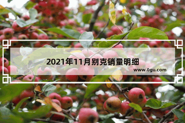 2021年11月别克销量明细
