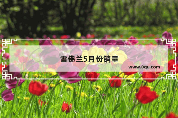 雪佛兰5月份销量