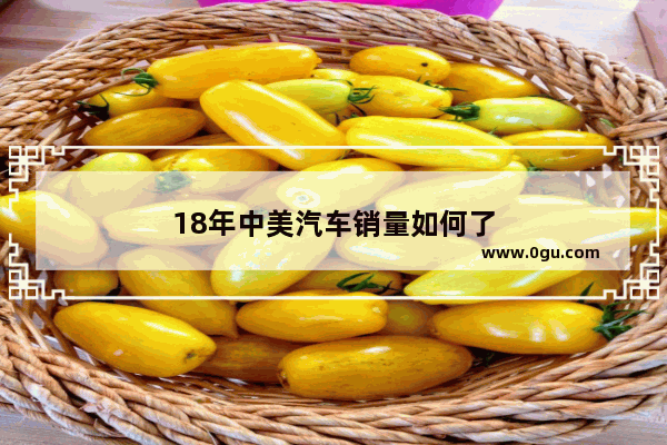 18年中美汽车销量如何了