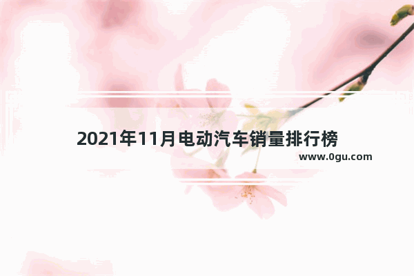 2021年11月电动汽车销量排行榜