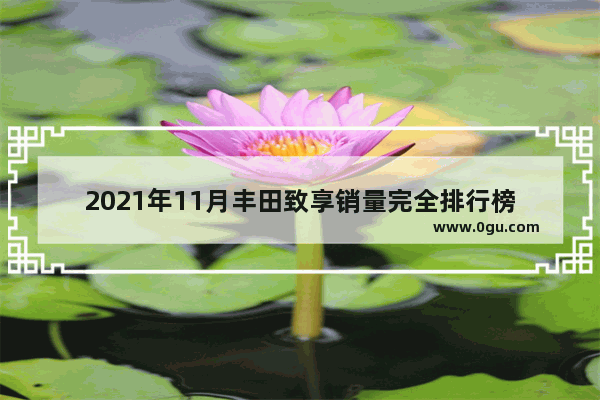 2021年11月丰田致享销量完全排行榜