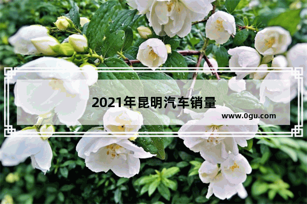 2021年昆明汽车销量