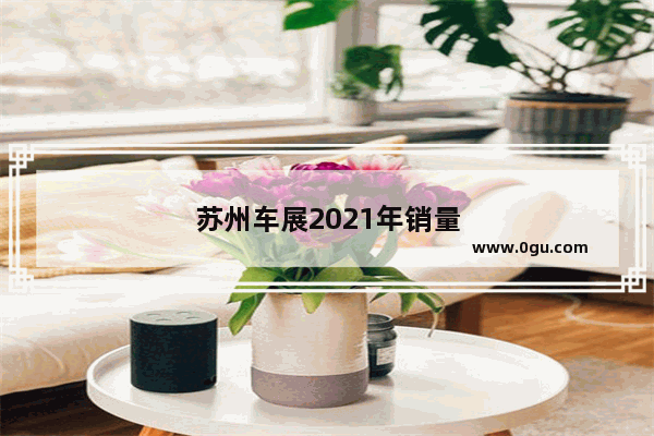 苏州车展2021年销量