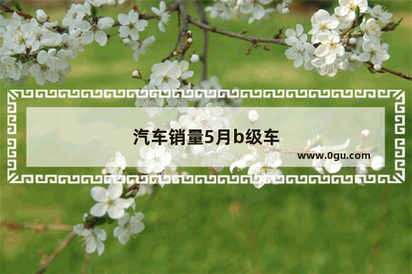 汽车销量5月b级车