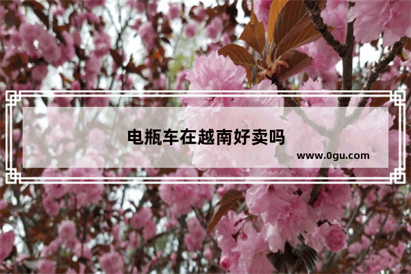 电瓶车在越南好卖吗