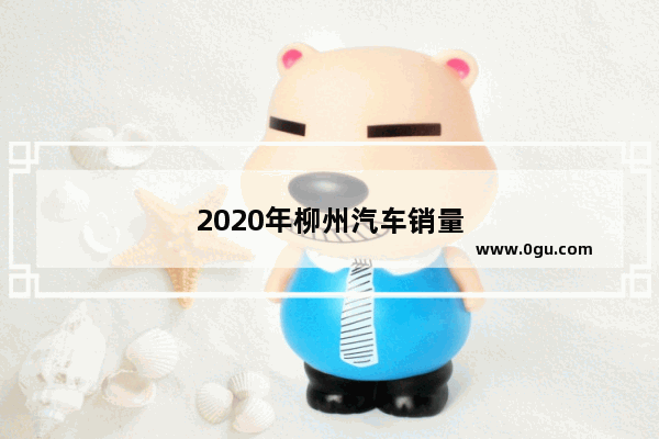 2020年柳州汽车销量