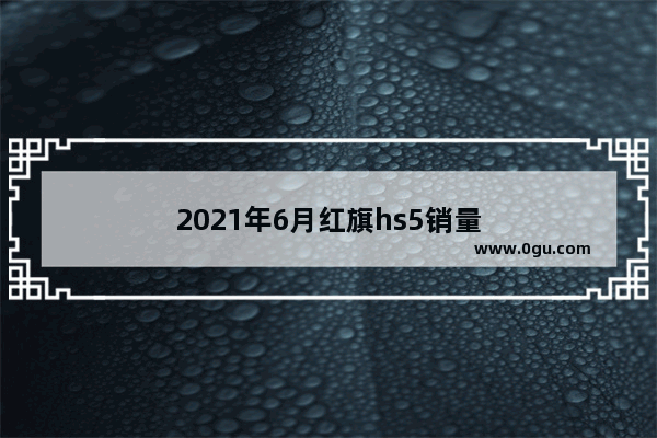2021年6月红旗hs5销量