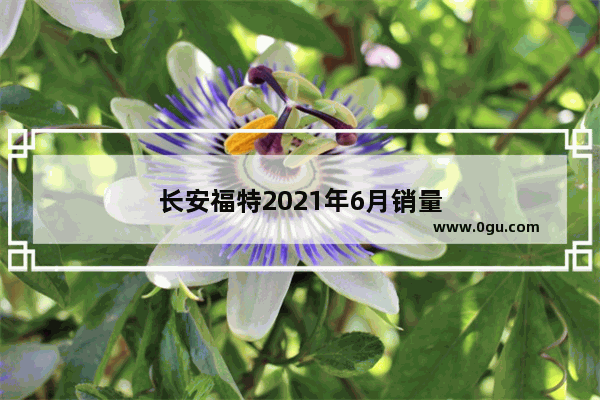 长安福特2021年6月销量