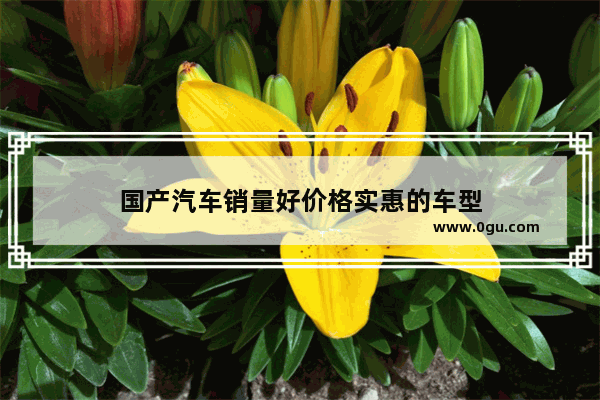 国产汽车销量好价格实惠的车型
