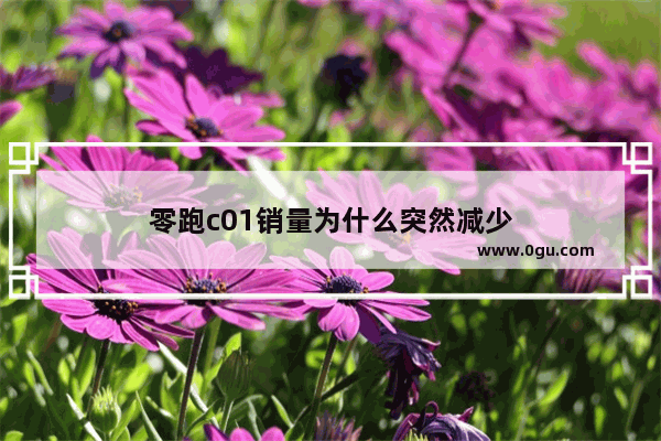 零跑c01销量为什么突然减少