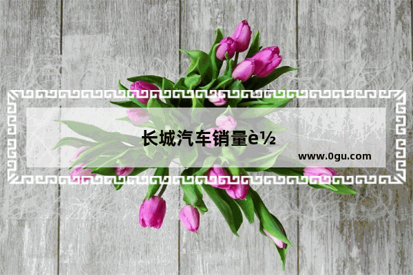 长城汽车销量车型有哪些