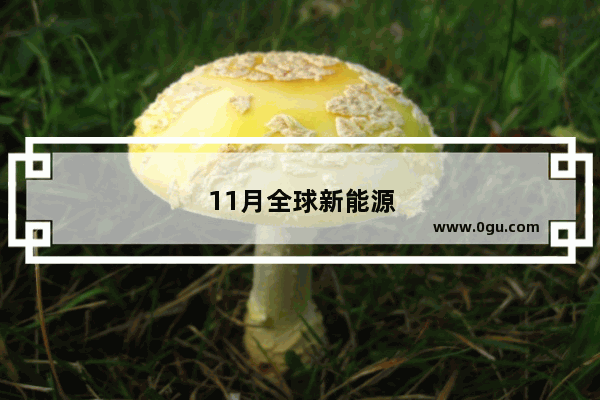 11月全球新能源销量排行