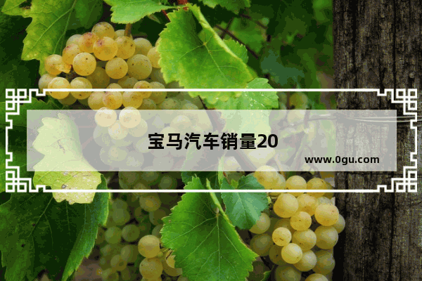 宝马汽车销量2020