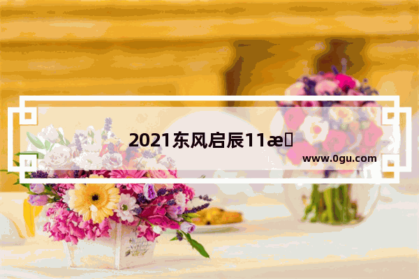 2021东风启辰11月销量