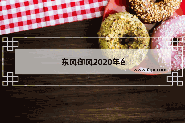 东风御风2020年销量