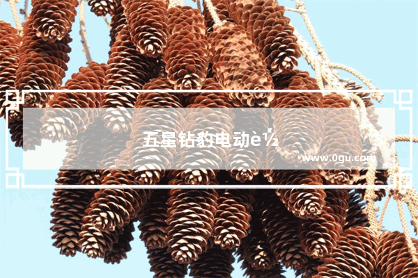 五星钻豹电动车20年的销量多少