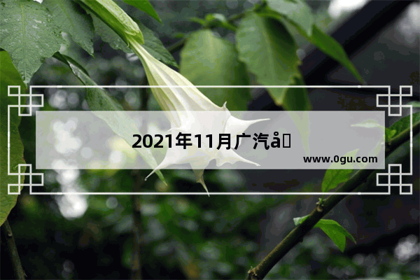 2021年11月广汽埃安汽车销量