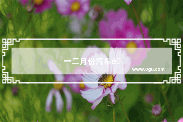 一二月份汽车销量数据统计