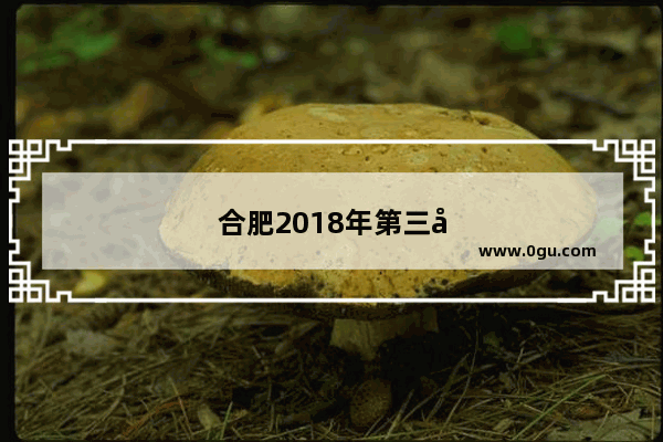 合肥2018年第三季度gdp的增速为什么放缓