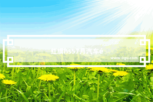 红旗hs57月汽车销量多少