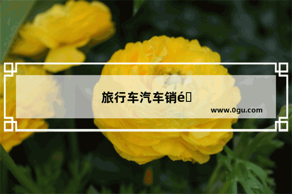 旅行车汽车销量排行榜