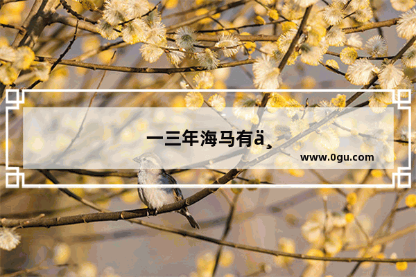 一三年海马有三元催化吗