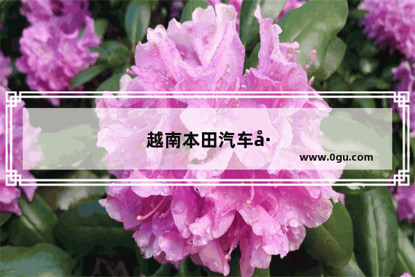 越南本田汽车工厂生产哪些车型
