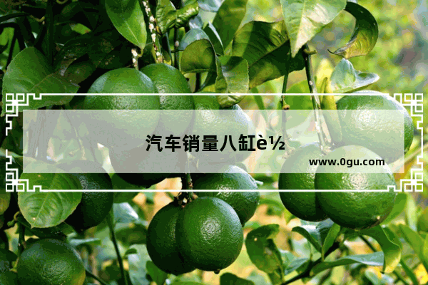 汽车销量八缸车排行榜