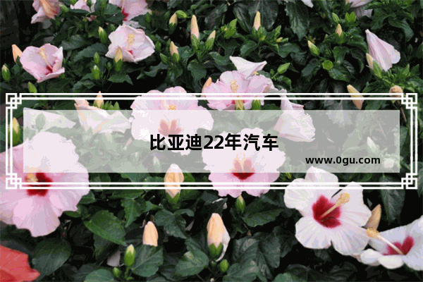 比亚迪22年汽车销量如何呢