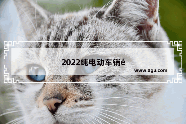 2022纯电动车销量排行榜