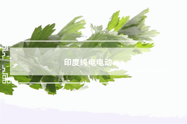 印度纯电电动汽车销量排行榜