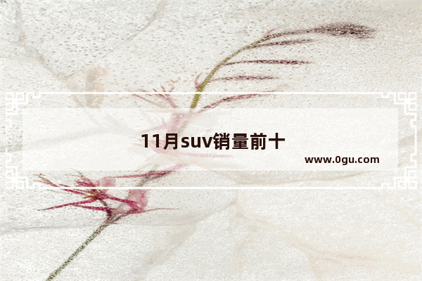 11月suv销量前十