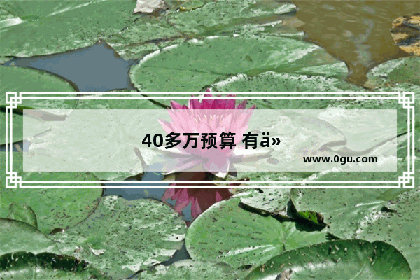 40多万预算 有什么车值得推荐
