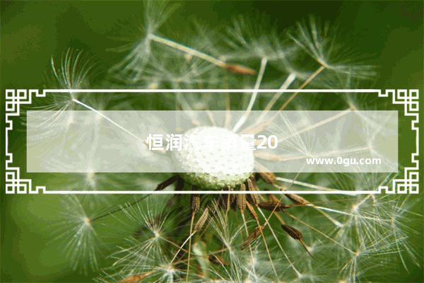 恒润汽车销量2020