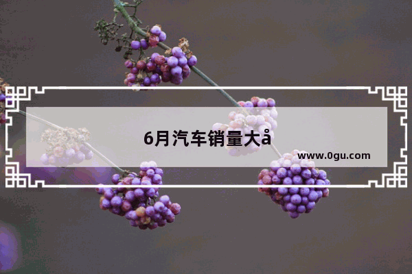 6月汽车销量大全