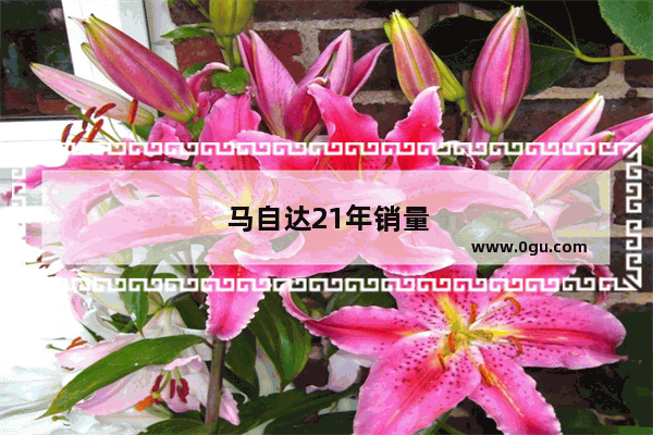 马自达21年销量