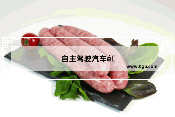 自主驾驶汽车销量怎么样