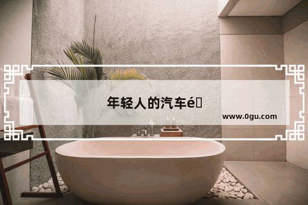 年轻人的汽车销量排行榜