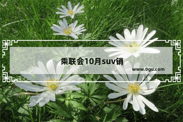 乘联会10月suv销量排行完整