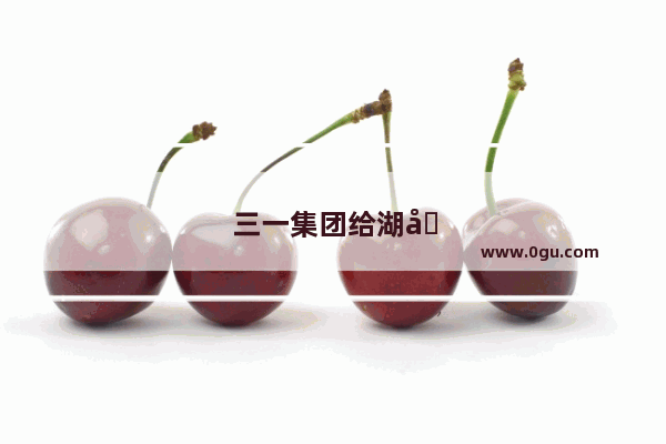 三一集团给湖南的贡献