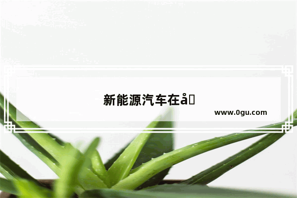 新能源汽车在哪些城市大卖