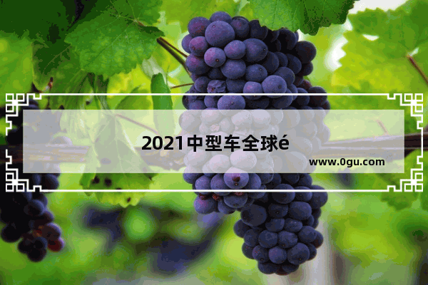 2021中型车全球销量