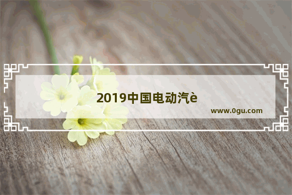 2019中国电动汽车总销量