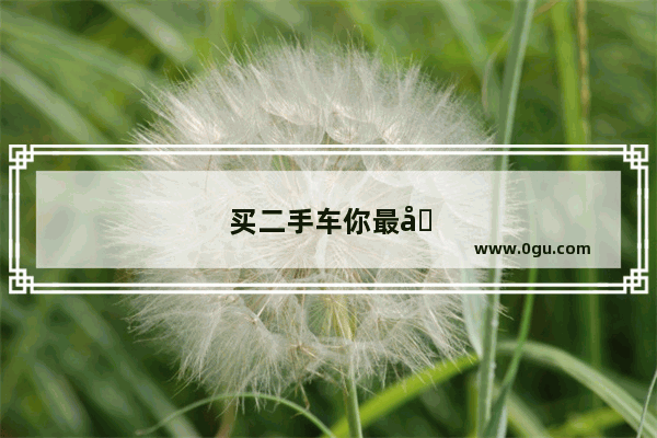 买二手车你最喜欢日系 美系 德系 还是自主品牌