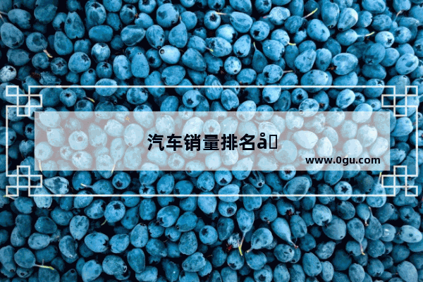 汽车销量排名在哪里看的