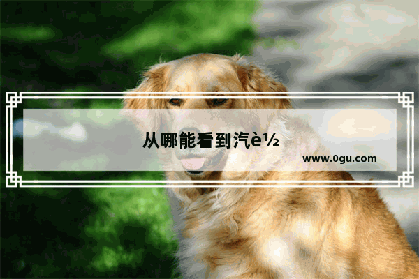从哪能看到汽车销量榜单呢